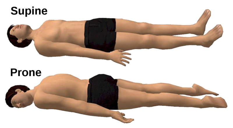 File:Prone and supine.png