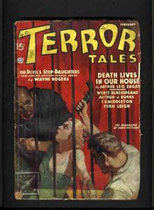Terror-Tales-Bondage-Pulp-Cover-Art-4.jpg