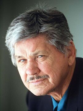 CharlesBronson-p.jpg