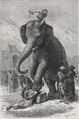 Thumbnail for version as of 18:35, 30 September 2024