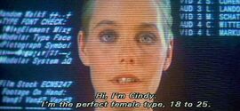 Looker-Susan-Dey-Perfect-21.jpg