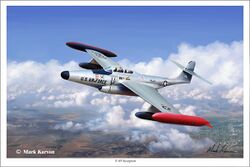 F-89 b.jpg